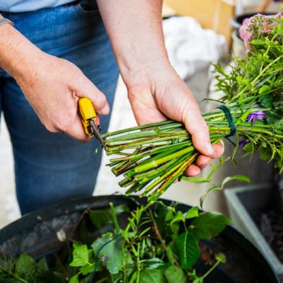 230711-CW-071-827-helen-green-photography opt